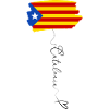 Catalonia Independence Flag Estelada Blava