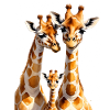 Giraffes Trio Illustration on Textiles