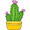 Cactus