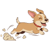 Puppy run
