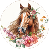 Fleurs de cheval