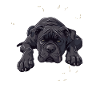 Need More Sleep Bulldog Illustration for