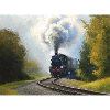 Autumn Steam Train in Woods