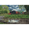 Narrow Gauge Storm