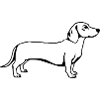 Dachshund Dog T-shirt Gift