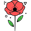 Poppy-Poppies-Minimalist-Line-Art-3