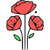 Poppy-Poppies-Minimalist-Line-Art-1