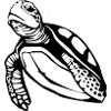 Turtle Turtles T-shirt Gift