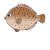 Flunderbar Lustiger Plattfisch Humor