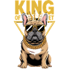 Kongen af gaden Bulldog med krone