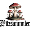 Mystische Pilzlandschaft Wald Motiv