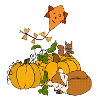 10_Kuerbis_im_Herbst