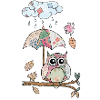 Eule_im_Regen