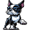 Boston Terrier Boston Terrier owner Bosti