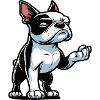 Boston Terrier Boston Terrier owner Bosti
