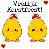 Frohe Weihnachtsküken