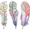 Pen