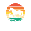 Lapins Et Chevaux Équitation Équestre