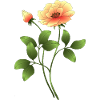 Fleur