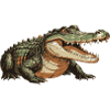 Crocodile2