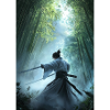 Samurai im Wald