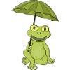 Green Frog Under Umbrella