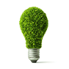 Leafy Glow Light Bulb Design
