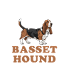 Basset Hound I Can't