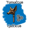 Tumultus Gallicus