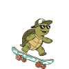 Slow Skate Turtle