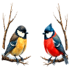 Zwillingssingvögel im Winter