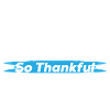 Never Give Up – "So Thankful You Never Gave Up"