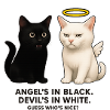 Angel vs. Devil Cats