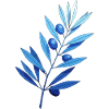 Branch | Blue leaf branches with blueberries