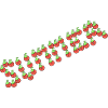 Tomate d’été