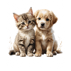 Cat Dog Duo Cuddle Motif