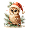 Christmas Owl with Santa Hat