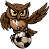 Eule Fußball