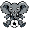 Elephant with soccer ball