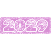 Année 2029