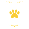 I love my Havanese