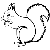 Squirrel T-shirt Gift Nature Lover