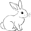 Rabbit Bunny Bunny Dwarf Rabbit Gift
