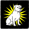Cool Dog in stile punk rock e pop art