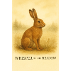 Whisper of the Meadow Hare