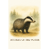 Mystery of the Forest Badger
