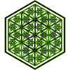 Geometric Hexagon Pattern Yoga Goa Psytrance