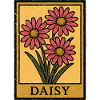 Daisy Trio Floral Frame