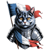 France Cat Knight