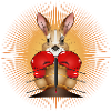 Boxing Kangaroo – Funny Boxer Motif